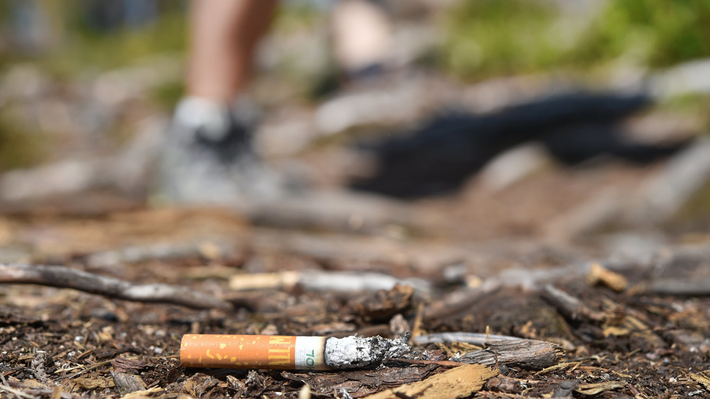 Zigarettenstummel liegt auf Waldboden