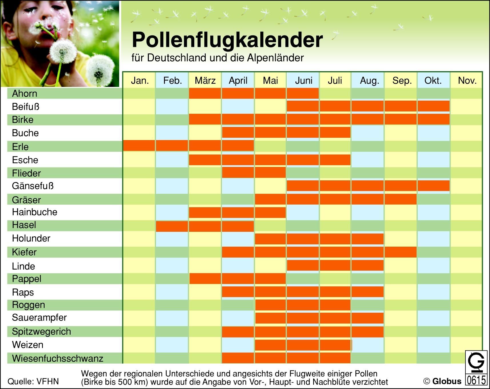 Die Pollen fliegen: So kommt man gut durch die Heuschnupfen-Zeit  BR24