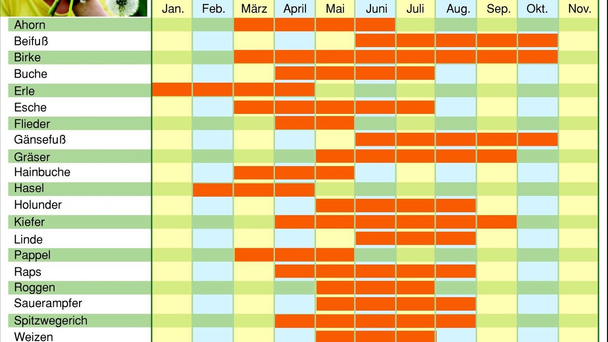 Ein Kalender nach Monaten, in dem die Pollenflugzeiten einzelner Pollen farblich markiert sind.
