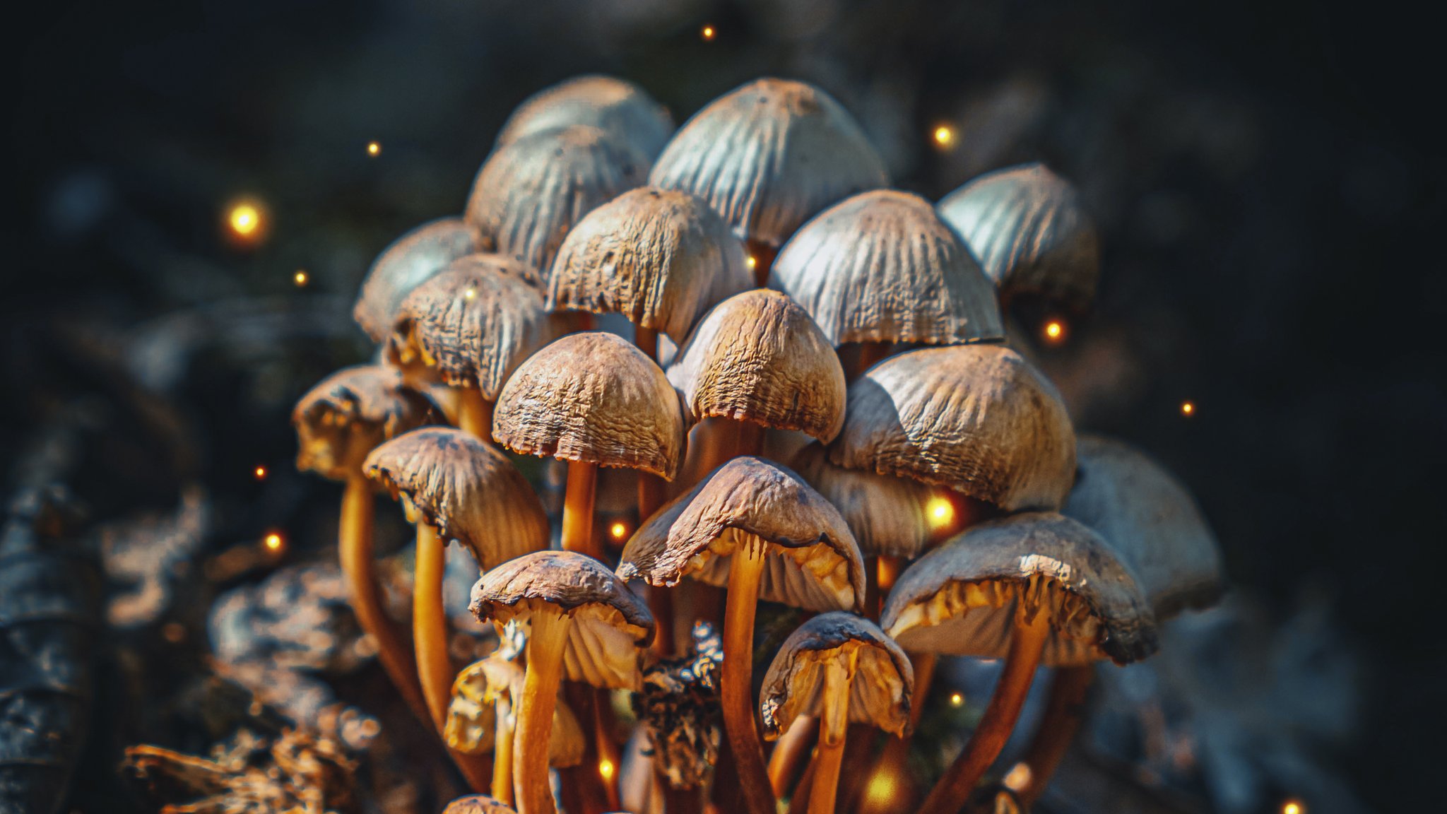 Symbolbild: Das in Magic Mushrooms enthaltene Psilocybin wird als Therapiemittel gegen Depressionen erforscht - mit bislang vielversprechenden Ergebnissen.