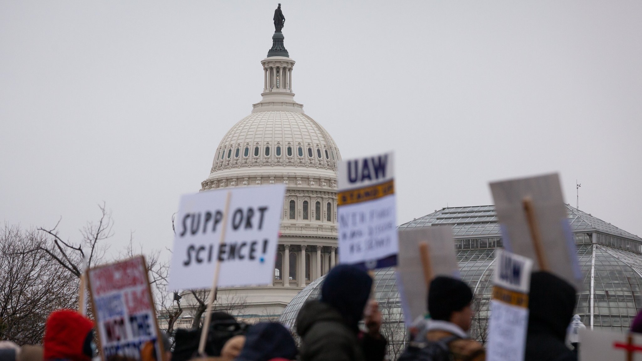 Menschen nehmen am 19. Februar 2025 in der Nähe des US-Kapitols an einer Kundgebung gegen den 90-tägigen Finanzierungsstopp und die Stellenkürzungen bei Gesundheitsbehörden in Washington, DC, teil.