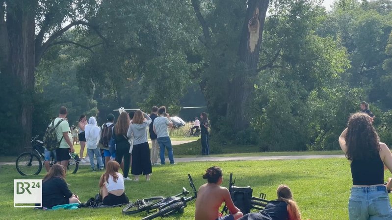 Im Englischen Garten in München kam es zu einem Großeinsatz von Rettungskräften, als ein sieben Meter langer Ast von einem Baum abgebrochen war. | Bild: BR Im Englischen Garten in München kam es zu einem Großeinsatz von Rettungskräften, als ein sieben Meter langer Ast von einem Baum abgebrochen war.