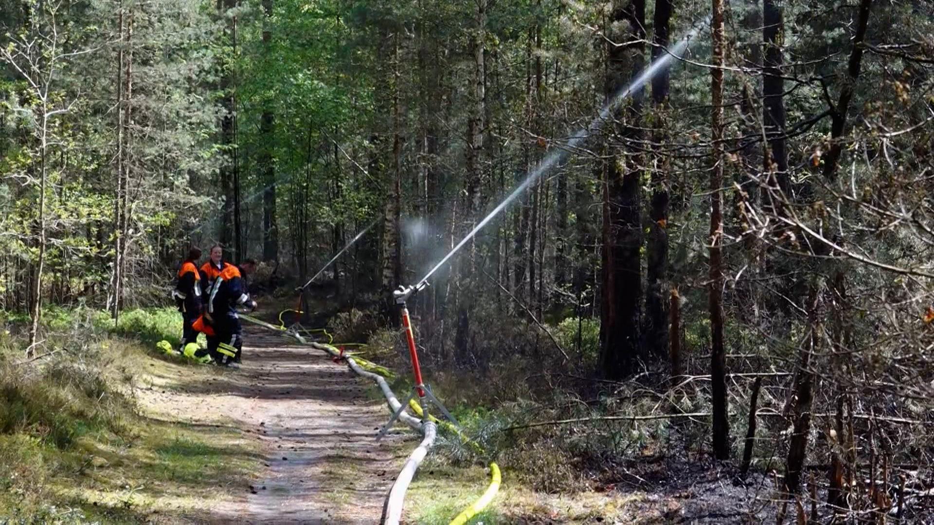 Seit drei Tagen brennt es auf einem ehemaligen Truppenübungsplatz im Tennenloher Forst, östlich von Erlangen