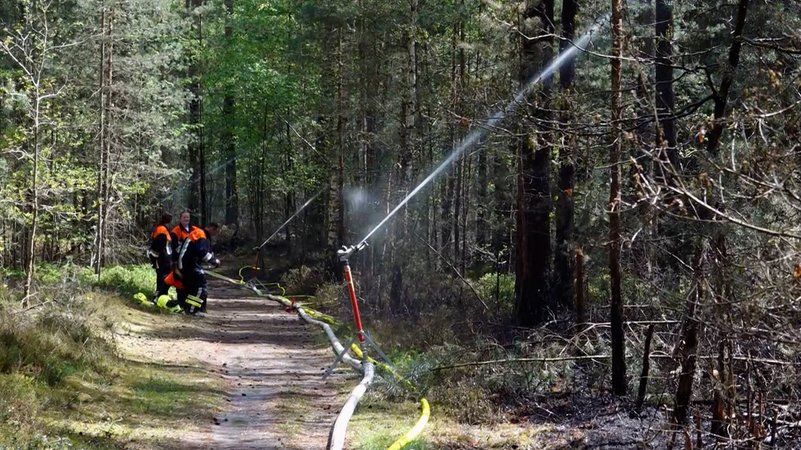 Seit drei Tagen brennt es auf einem ehemaligen Truppenübungsplatz im Tennenloher Forst, östlich von Erlangen | Bild: Bayerischer Rundfunk 2025 Seit drei Tagen brennt es auf einem ehemaligen Truppenübungsplatz im Tennenloher Forst, östlich von Erlangen