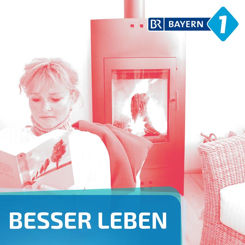  Foto zu Holzofen-Verbot: Wie lange sind Holzöfen noch erlaubt? - Besser leben 