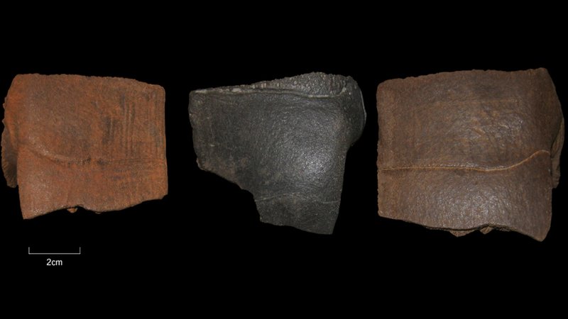 Drei Panzer-Fragmente der Europäischen Sumpfschildkröte. Gefunden im Kieswerk Barleben-Adamsee | Bild: Landesamt für Denkmalpflege und Archäologie Sachsen-Anhalt, Uwe Beye Drei Panzer-Fragmente der Europäischen Sumpfschildkröte. Gefunden im Kieswerk Barleben-Adamsee