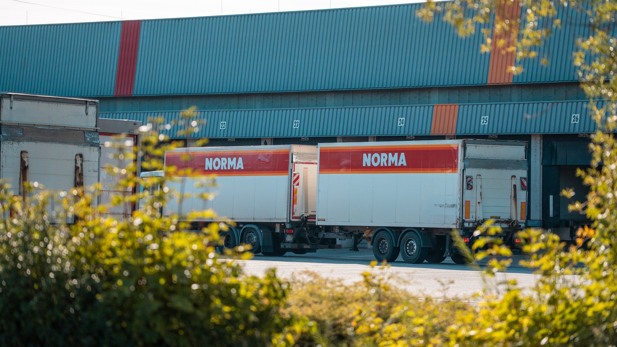Hygienemängel bei Norma: Rattenplage im Zentrallager