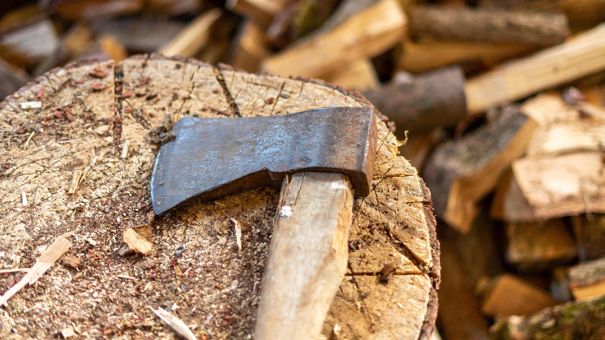 Ein Beil liegt auf einem Holzstamm (Symbolbild)