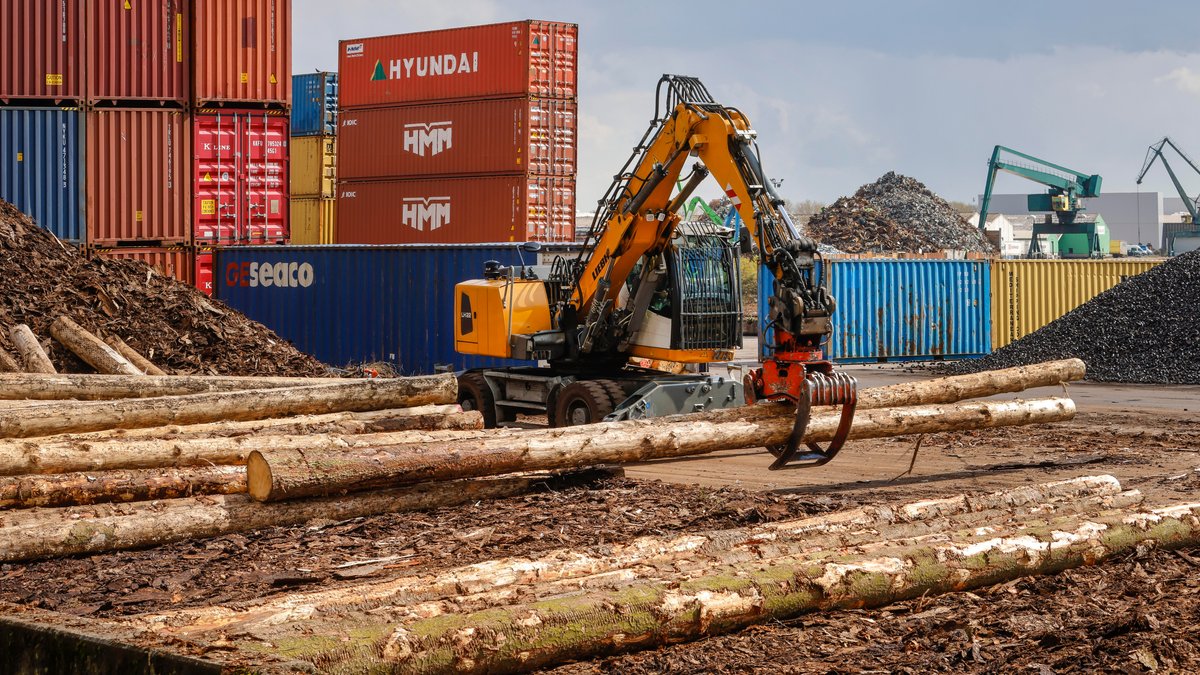 Holzstämme werden für den Export in Container verladen
