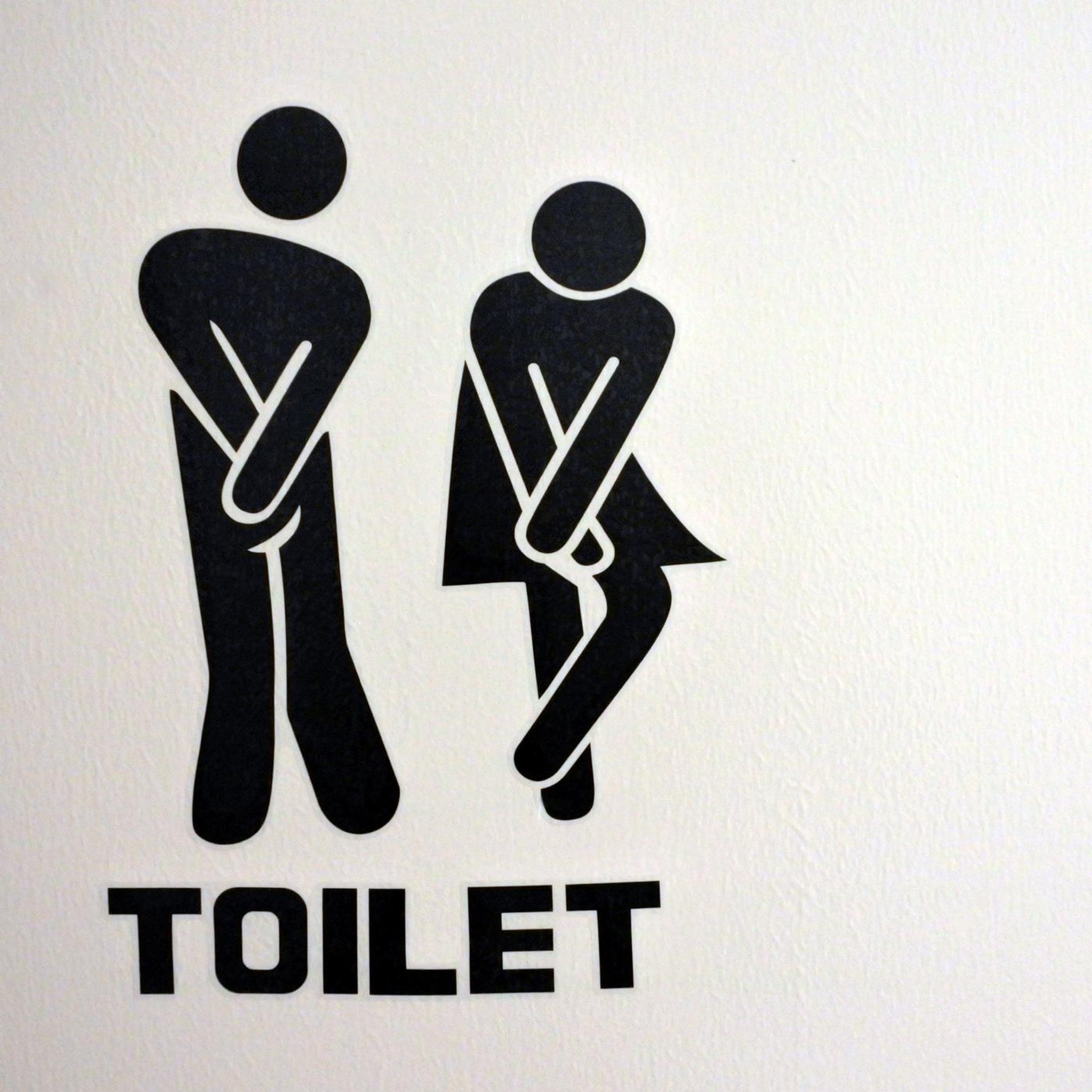 Kulturgeschichte der Toilette - Von der Latrine zum Washlet