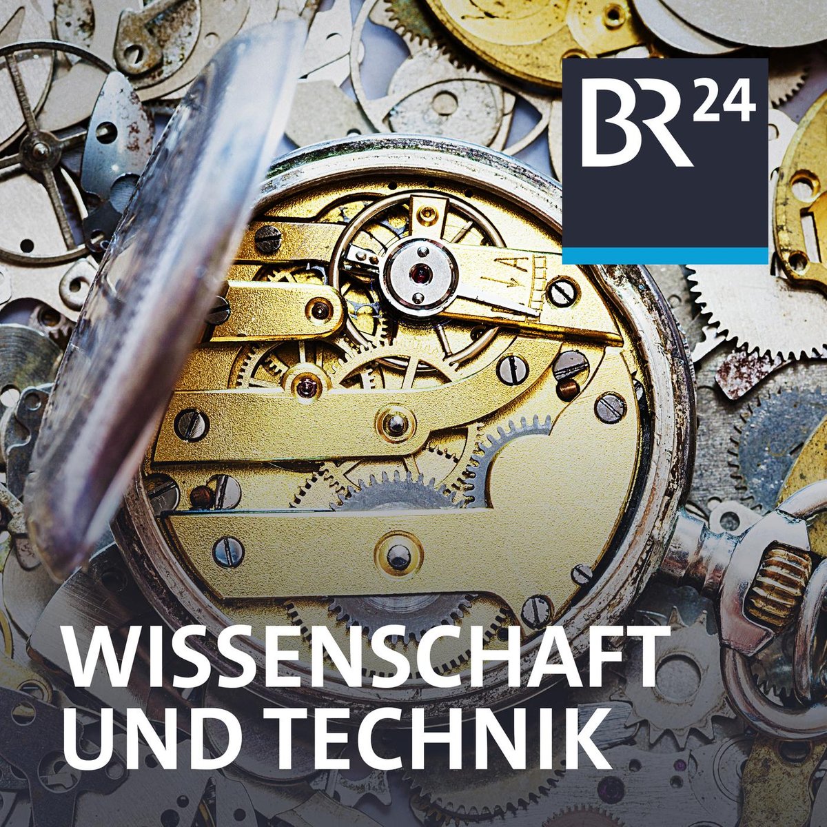 Klimaerwärmung und Psyche - Mehr psychische Erkrankungen durch Klimastress