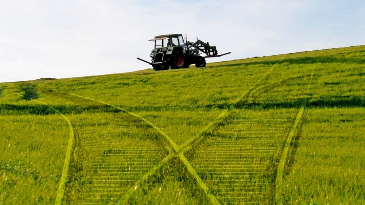 Tagesgespräch : Streit um Agrar-Subventionen: Welche Landwirtschaft wollen wir? - hier anschauen