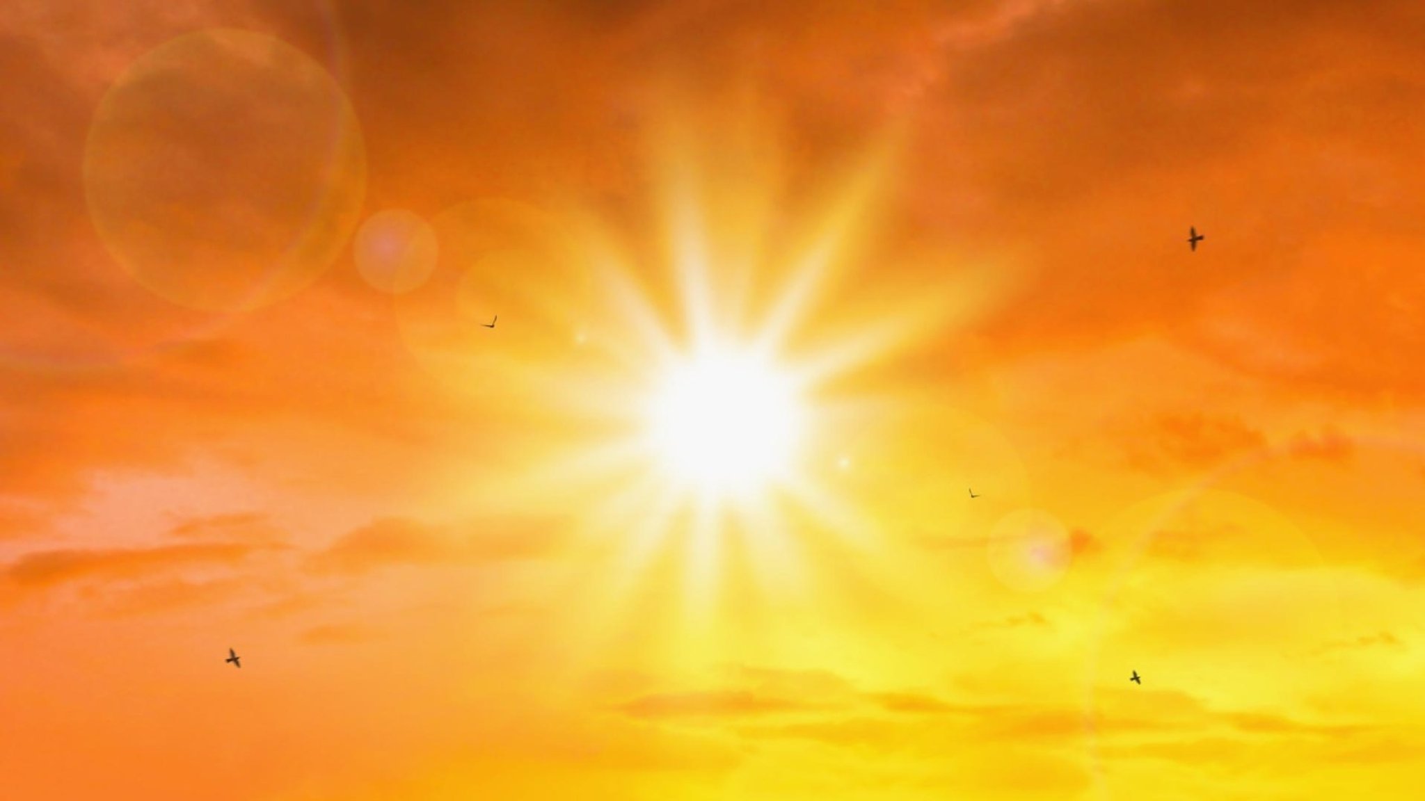 aktiv und gesund: Hitze, Sonnencreme, Gewichtsdecken - hier anschauen
