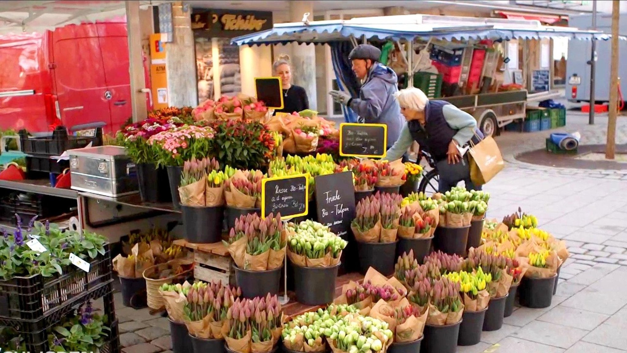 Schwaben + Altbayern: Bio-Blumen aus Indersdorf - hier anschauen