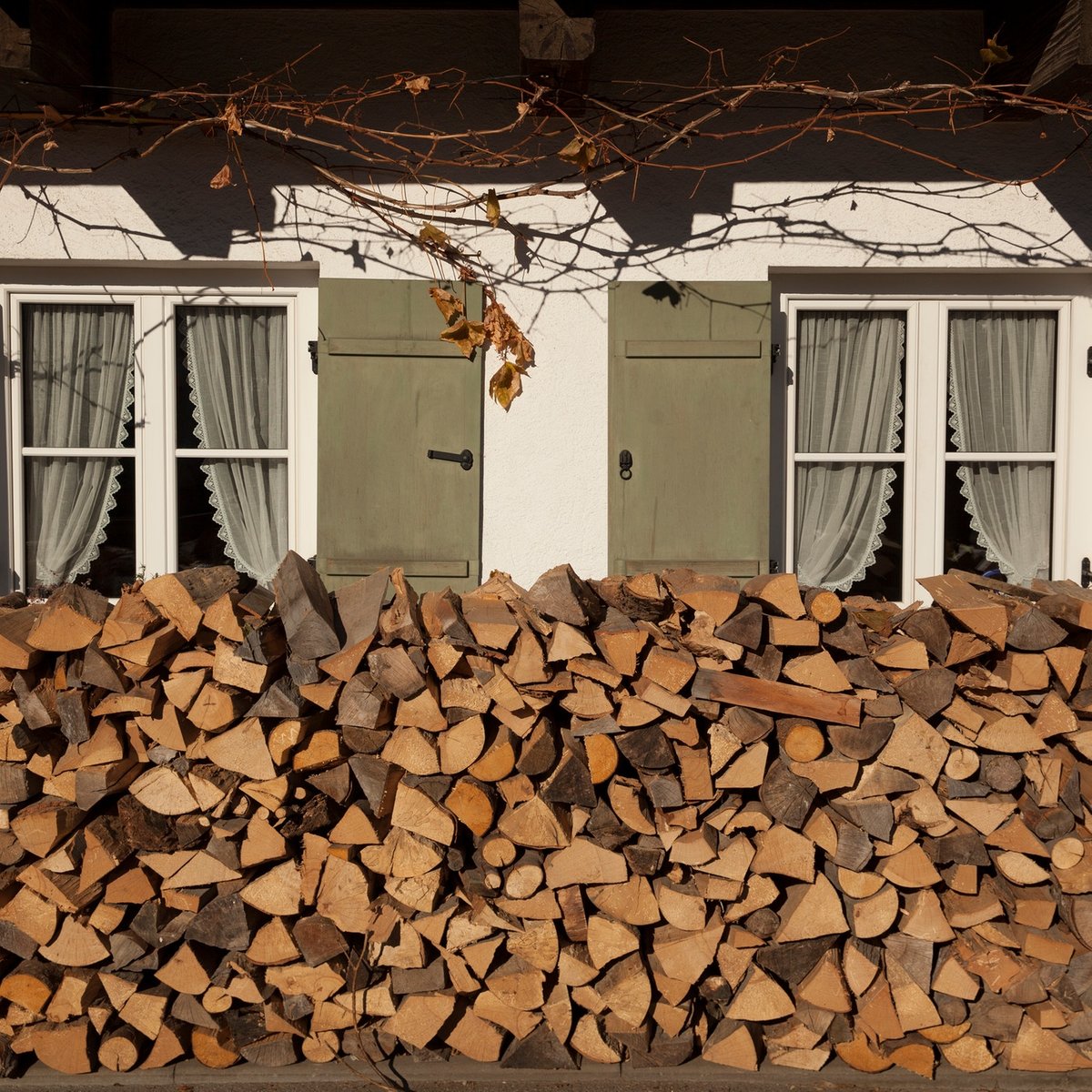 Darf man Holz noch verbrennen?