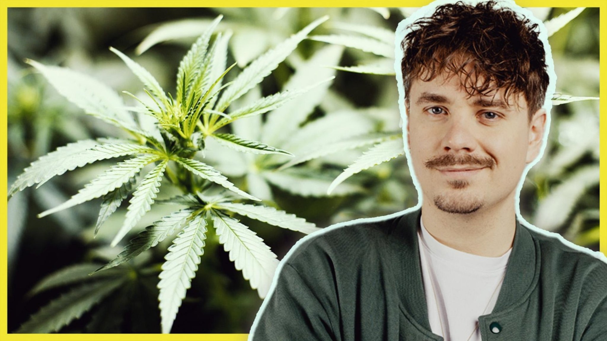 PULS Reportage: Selbstversuch: Cannabis-Anbau (Teil 1) - hier anschauen