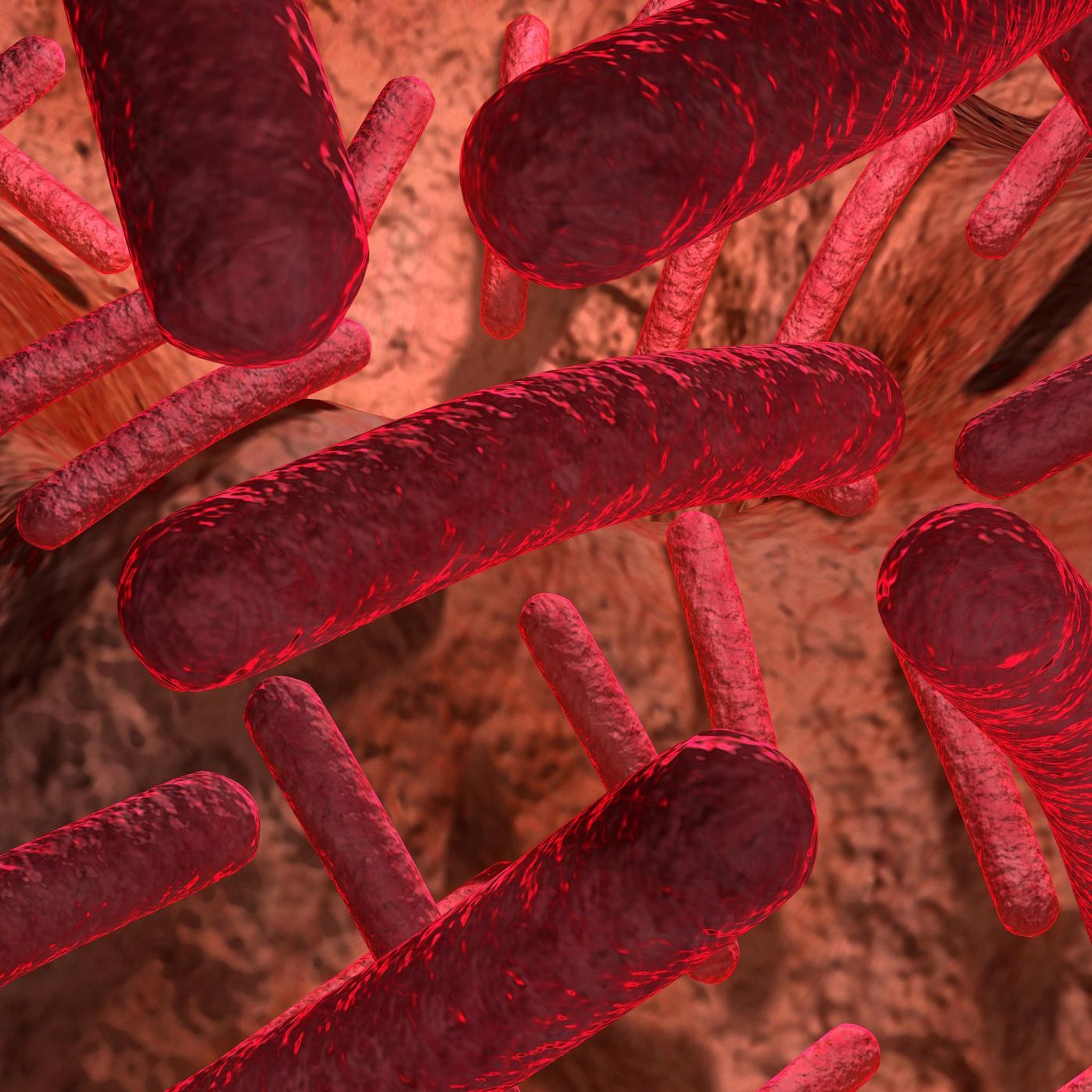 Bakterien - Gefahr im Biofilm