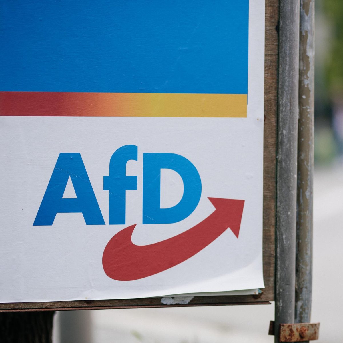 Zehn Jahre AfD