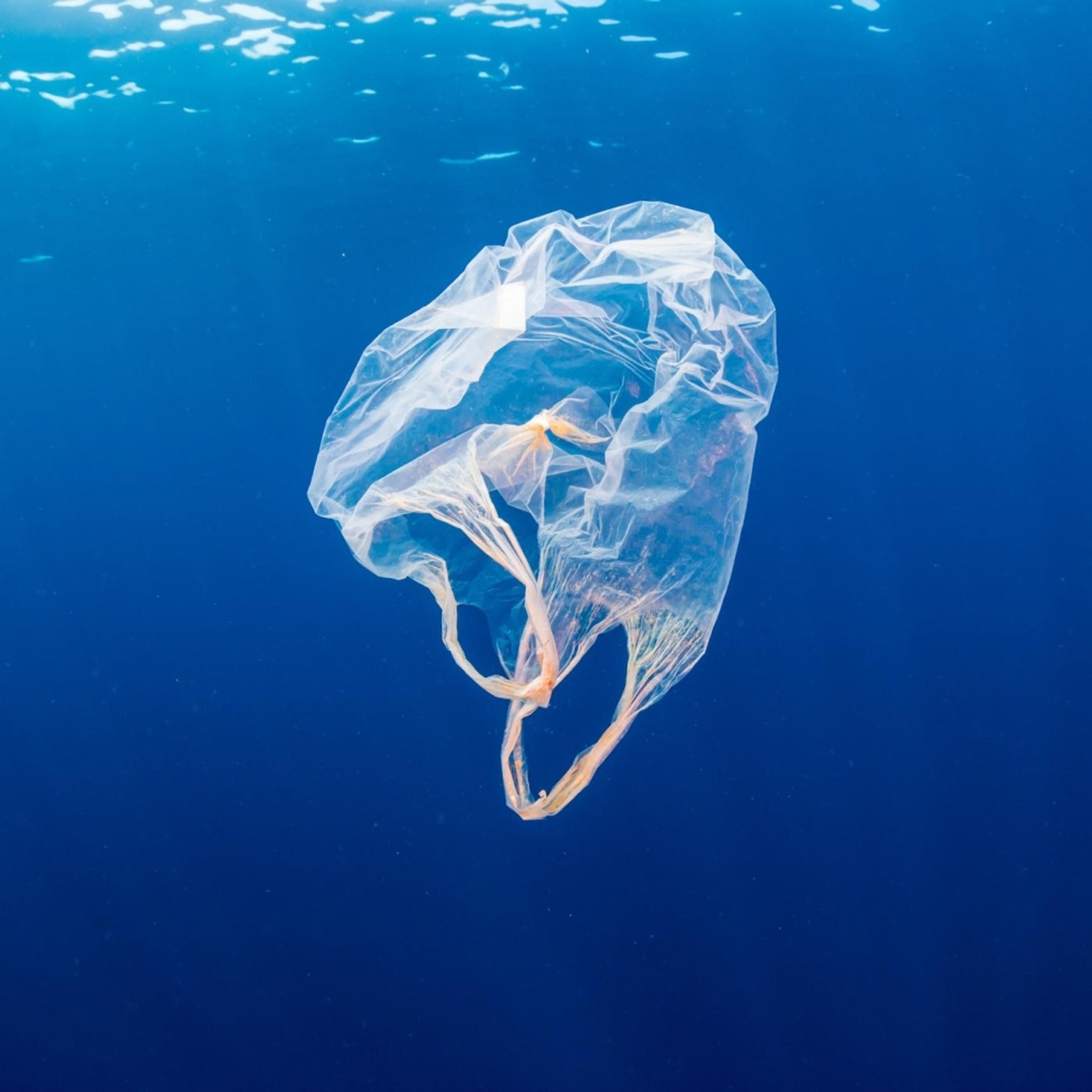 Mikroplastik - Ein aussichtsloser Kampf?