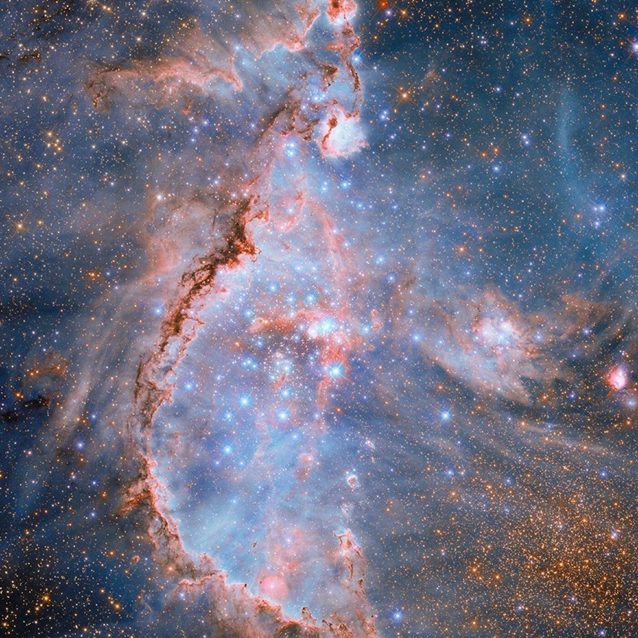 Warum ist das Universum so? Eine physikalische Sinnsuche
