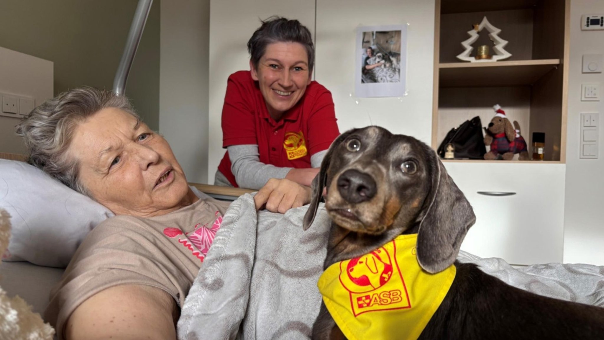 STATIONEN: Seelsorger auf vier Pfoten · Wie Tiere Menschen helfen - hier anschauen