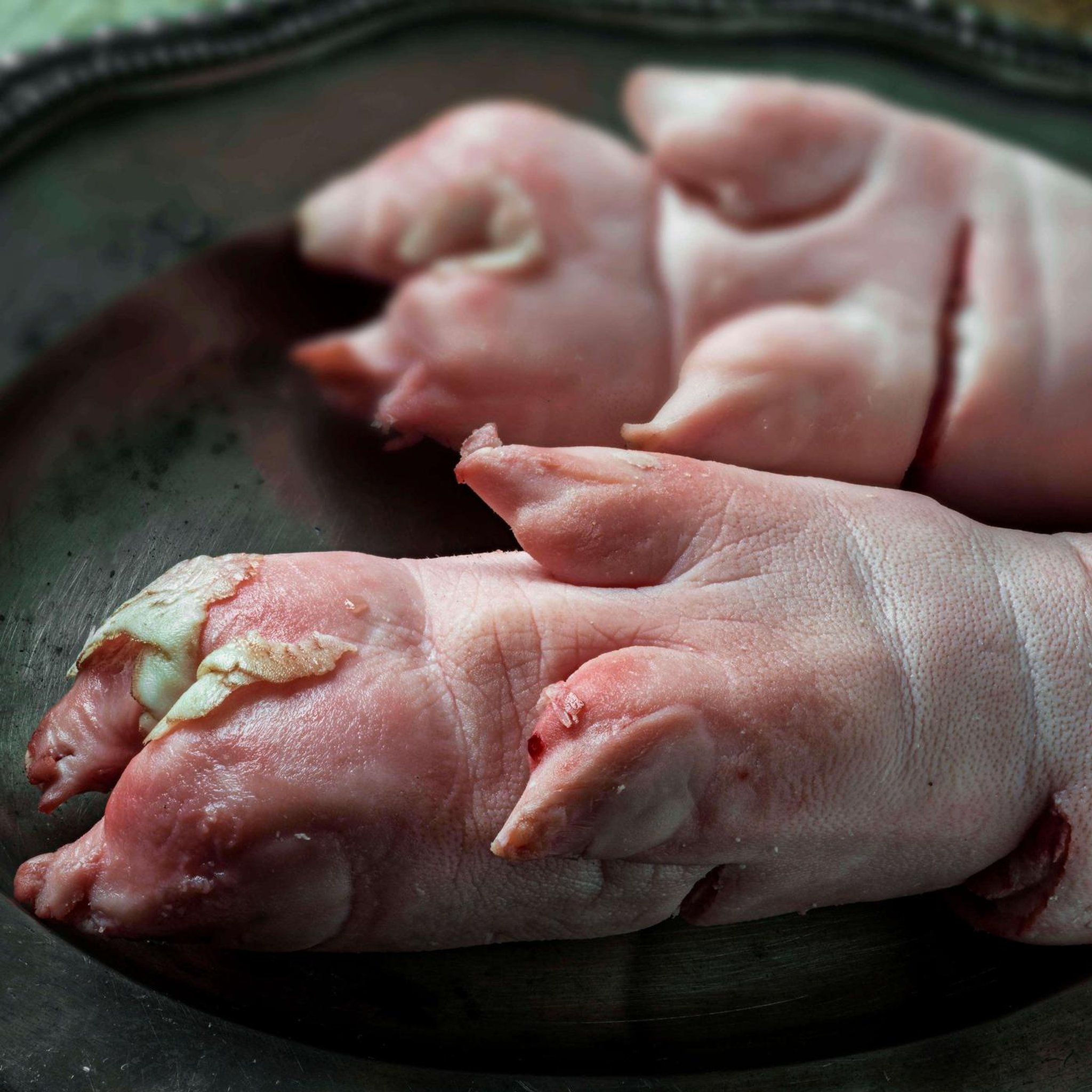Schlachtennebenprodukte - Was vom Tier übrig bleibt
