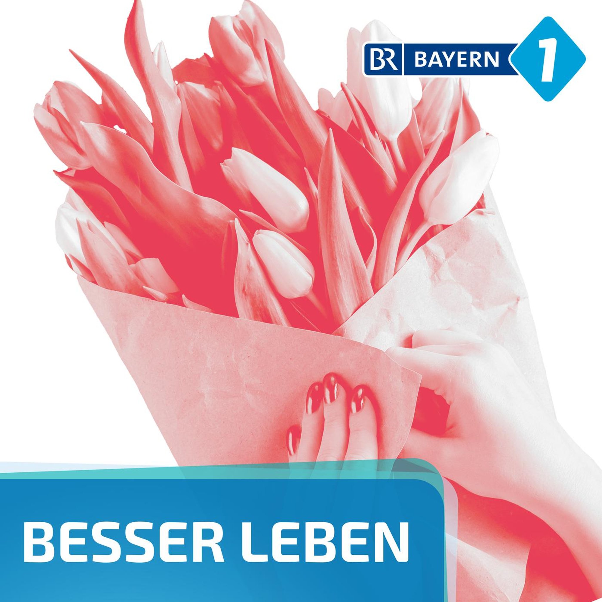 Der Bund Rosen für 1,99 Euro - wie geht das?