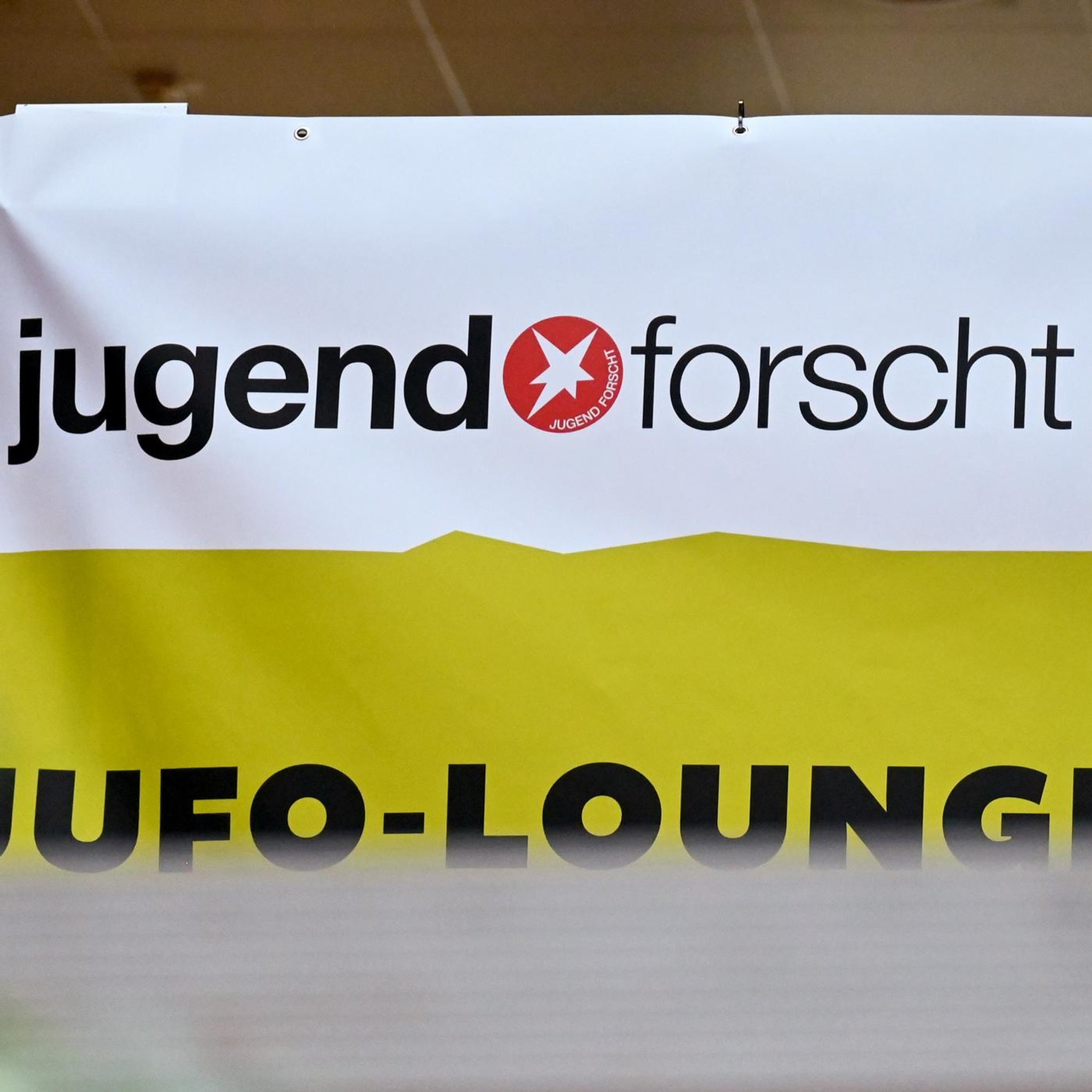 Essbare Batterien und Spiderman-Versuche - Warum "Jugend forscht" so wichtig ist