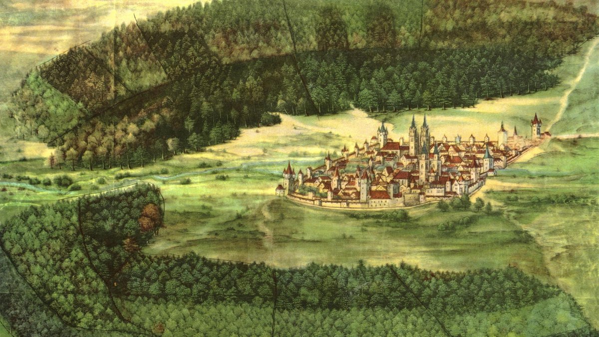 Unter unserem Himmel: Der Nürnberger Reichswald - hier anschauen