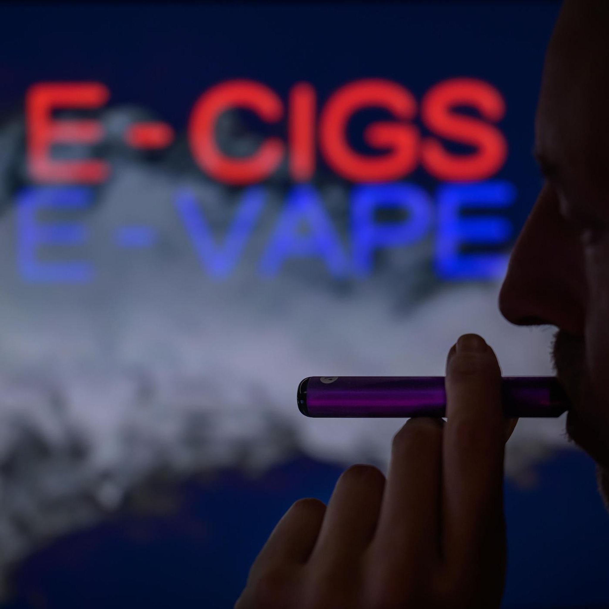 Noch schneller abhängig - Mit Einweg E-Zigaretten Vapes | Dieser Habicht hat eine geniale Jagd-Technik erfunden (226)