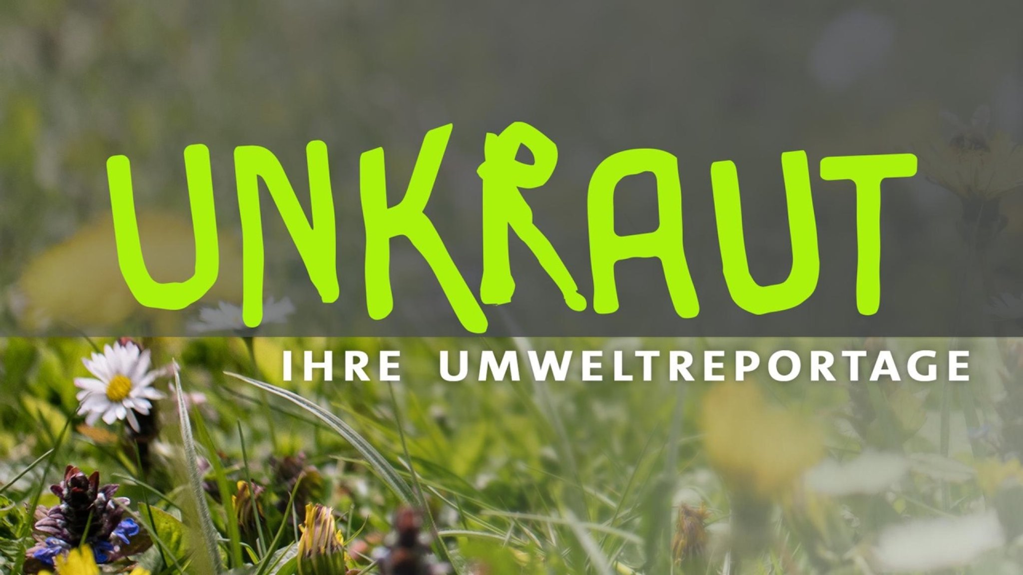 UNKRAUT - alle verfügbaren Videos - hier anschauen