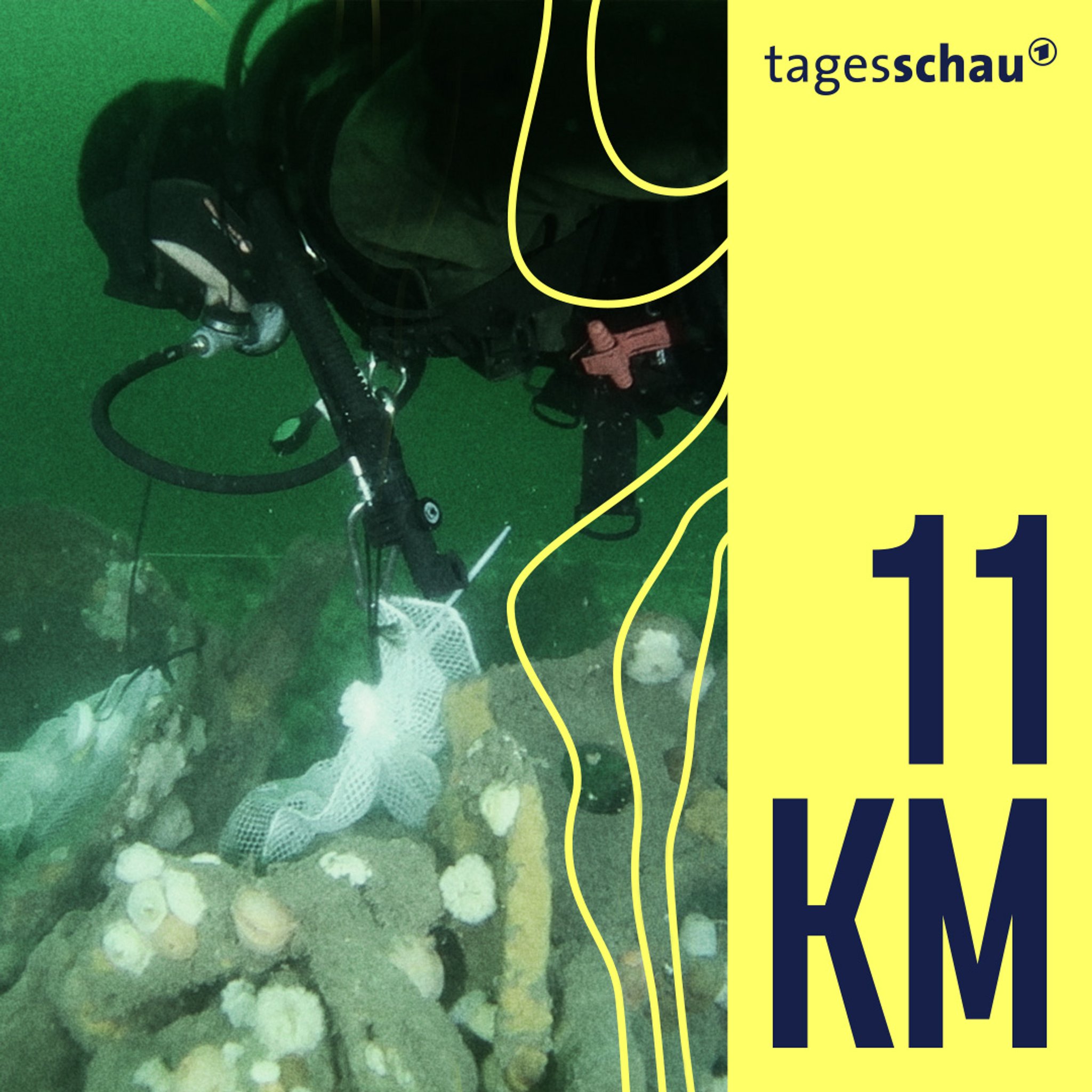 Kriegsmunition in der Nordsee - Gefahr am Grund