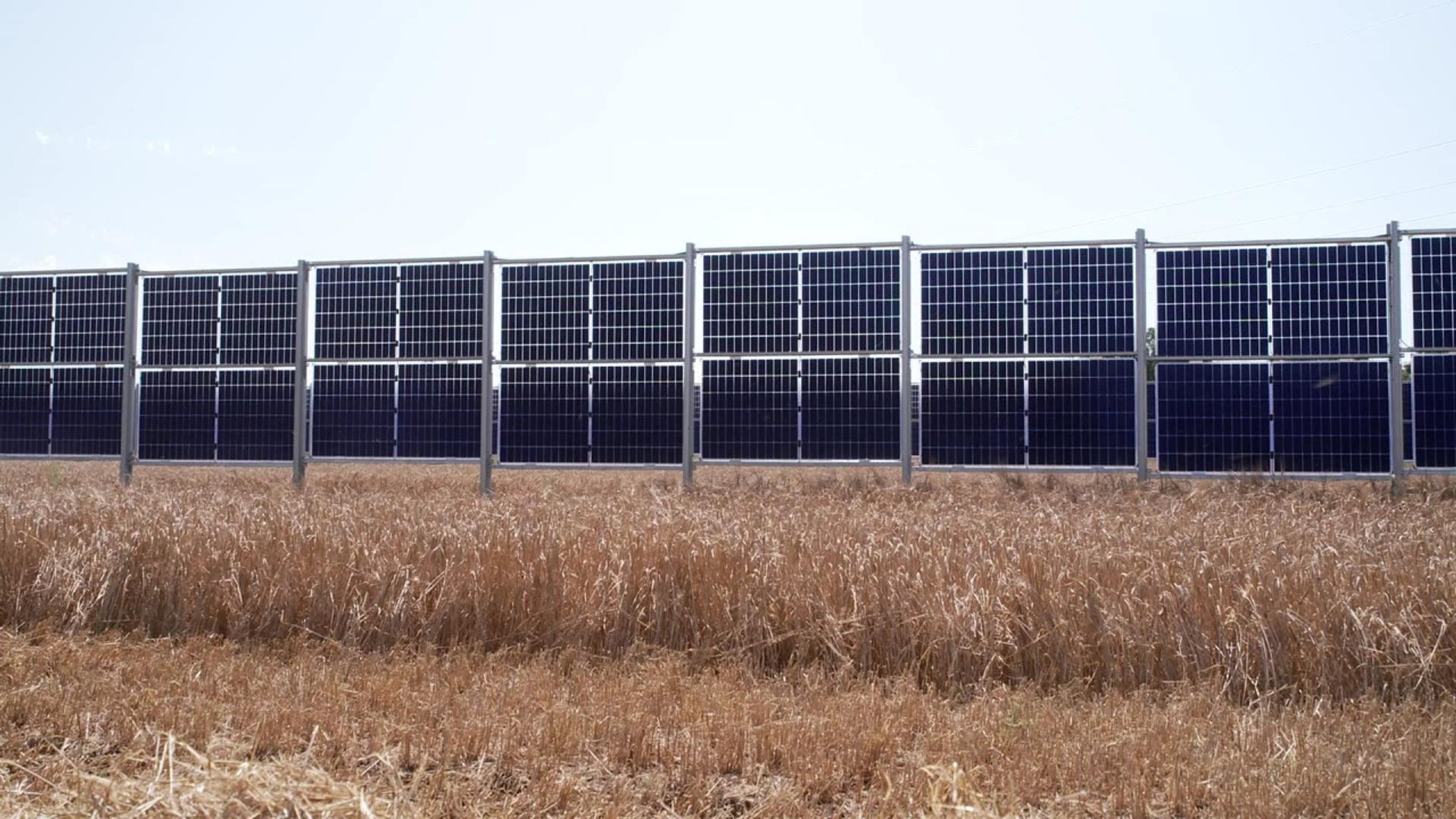 Unser Land: Mähdreschen unter der Agri-PV-Anlage - hier anschauen