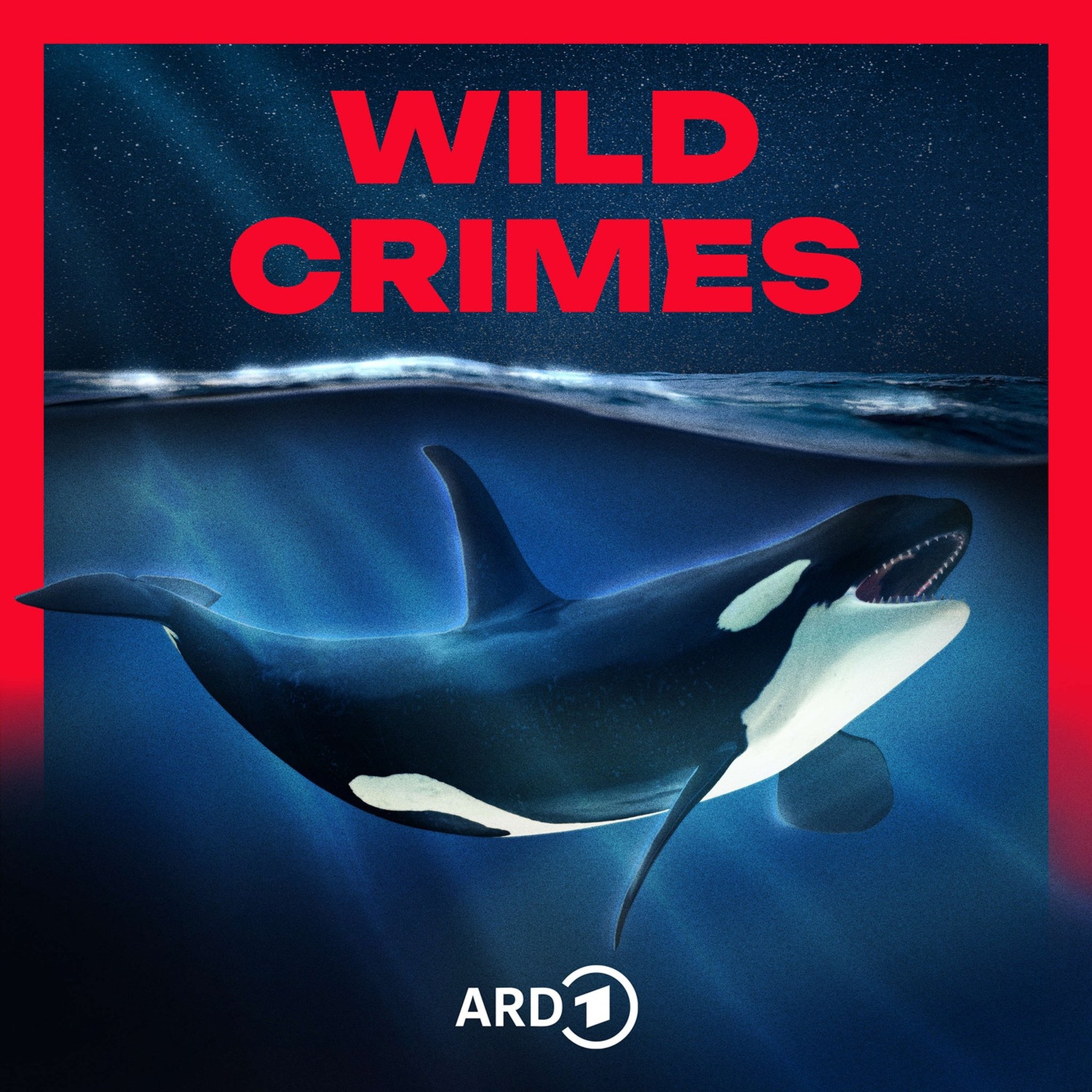 Wild Crimes