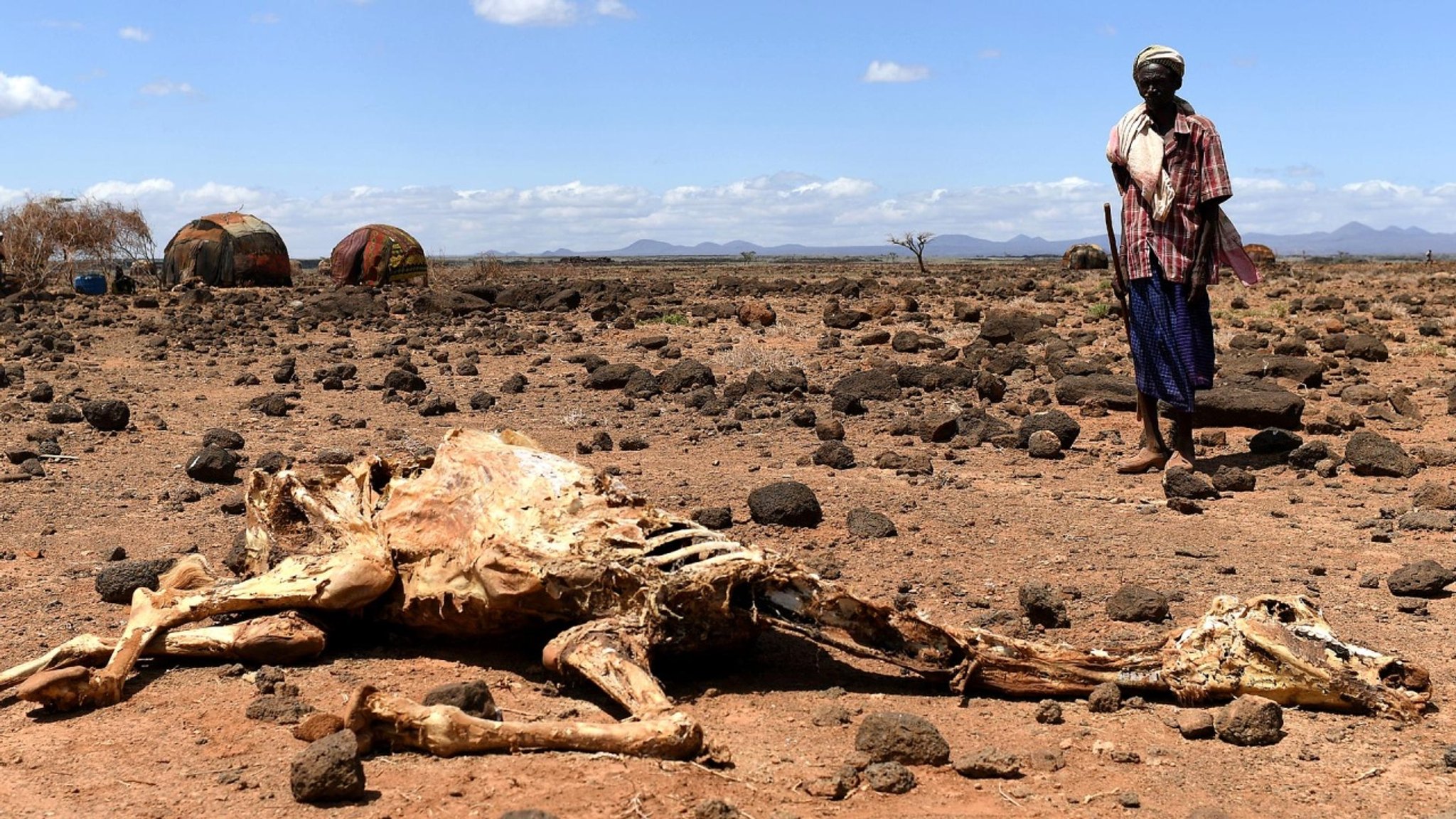 Kontrovers: Gelingt der Kampf gegen den Hunger in der Welt? - hier anschauen