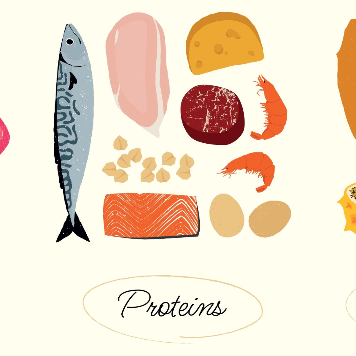 Proteine - Was Eiweiß wirklich kann