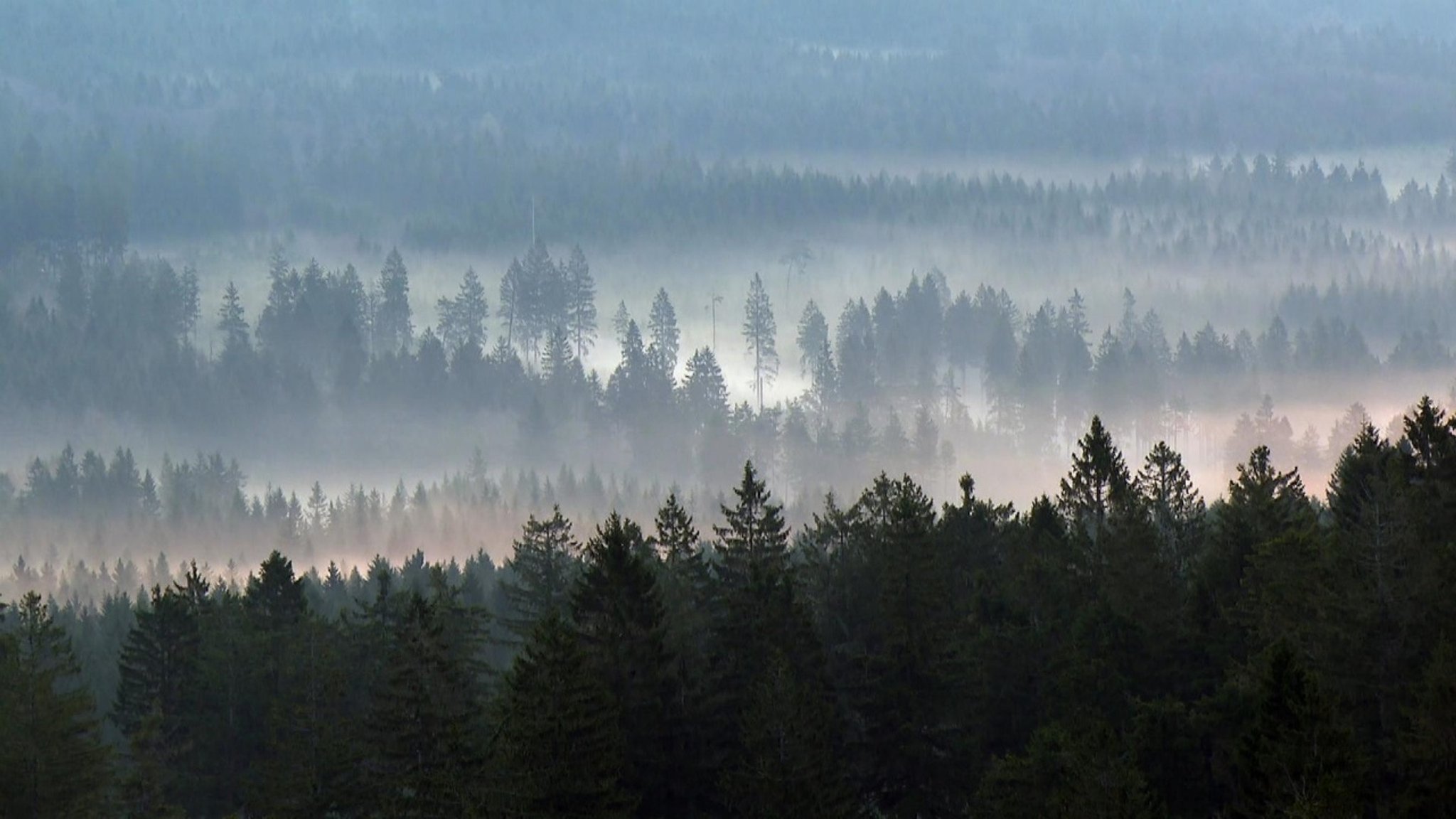 Unter unserem Himmel: Rund um den Großen Waldstein - hier anschauen