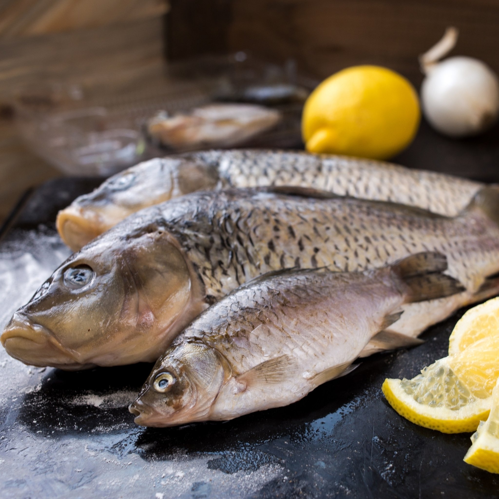 Der Karpfen - Ein traditioneller Speisefisch mit Zukunftschancen
