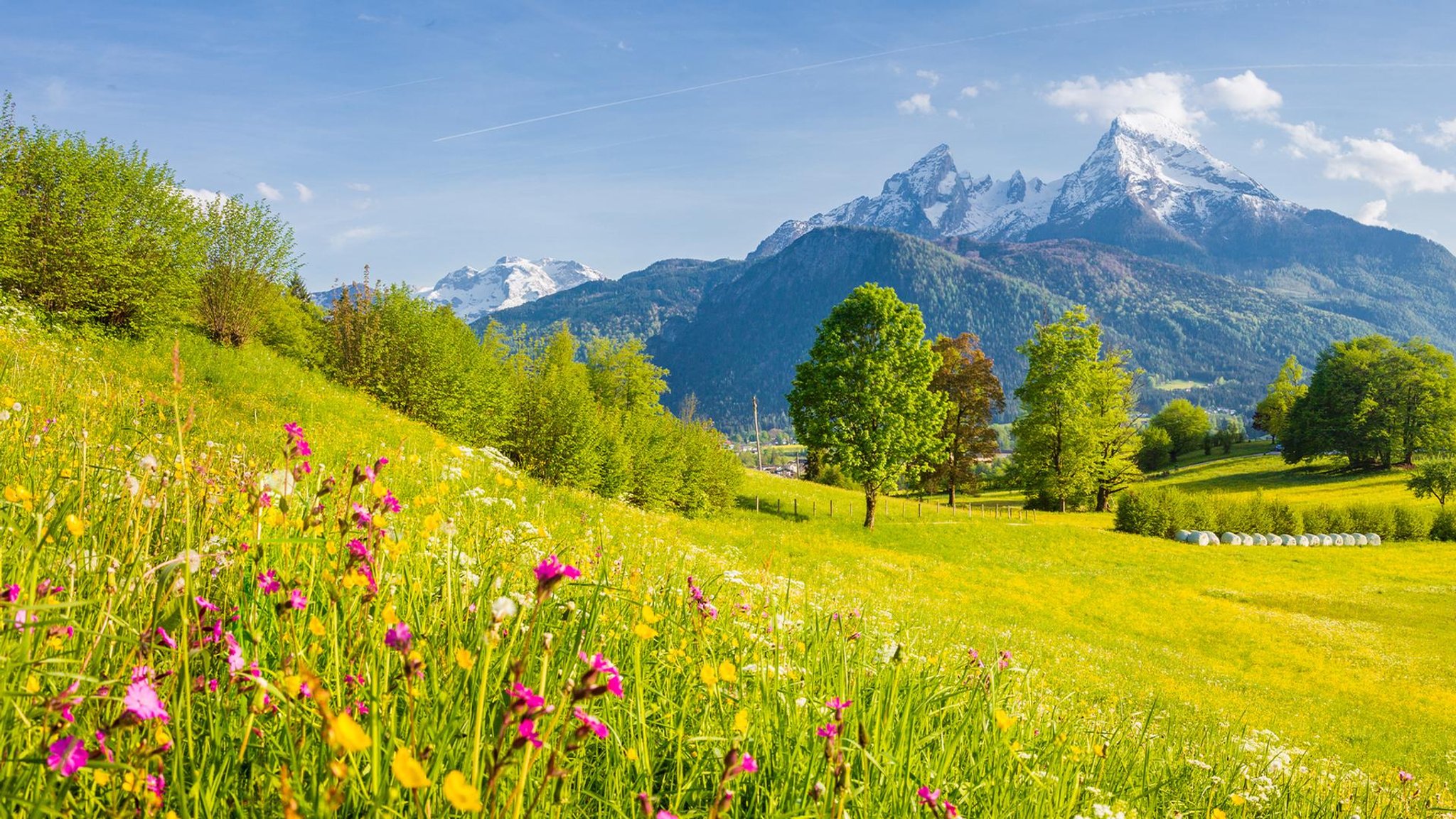 Alpen und Mittelgebirge ⛰ Die besten Bergsteiger-Dokus & Wandertouren