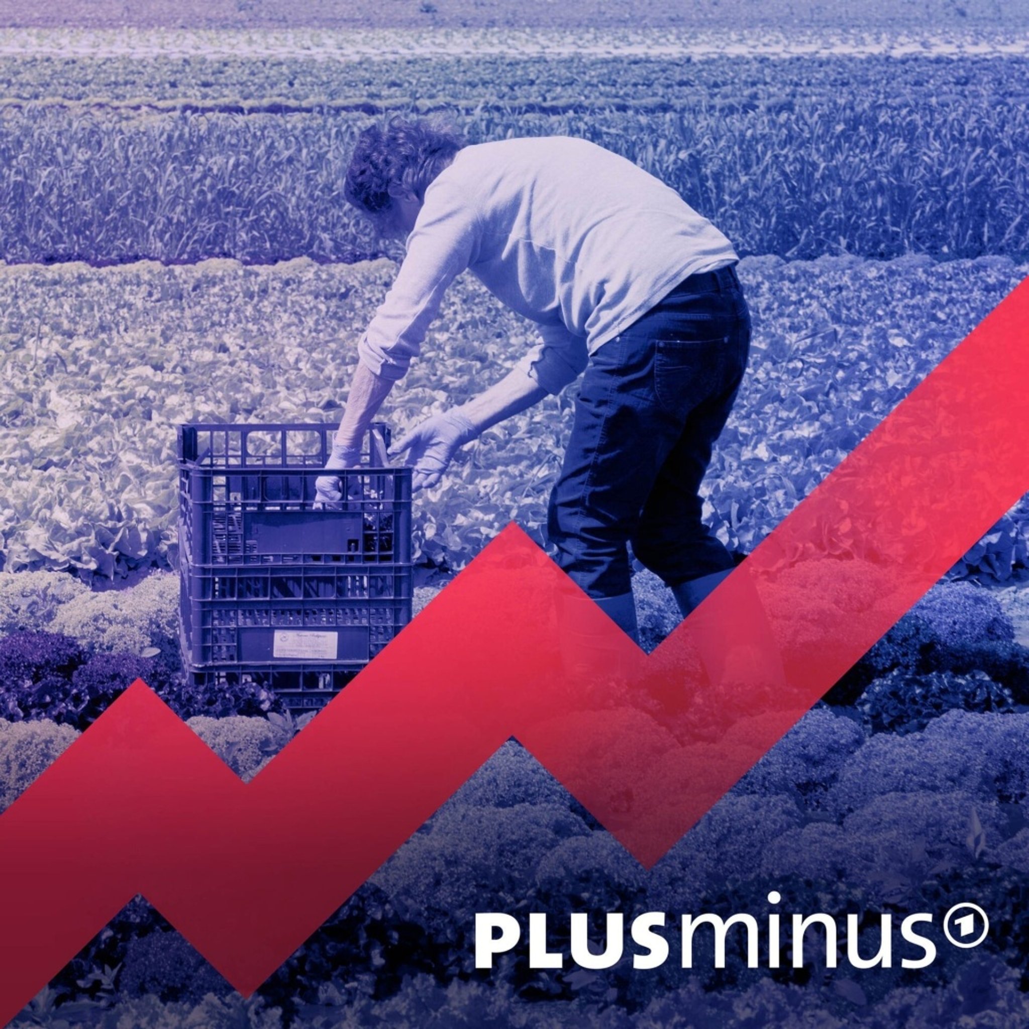 Mindestlohn - verkraftet die Wirtschaft 15 Euro?