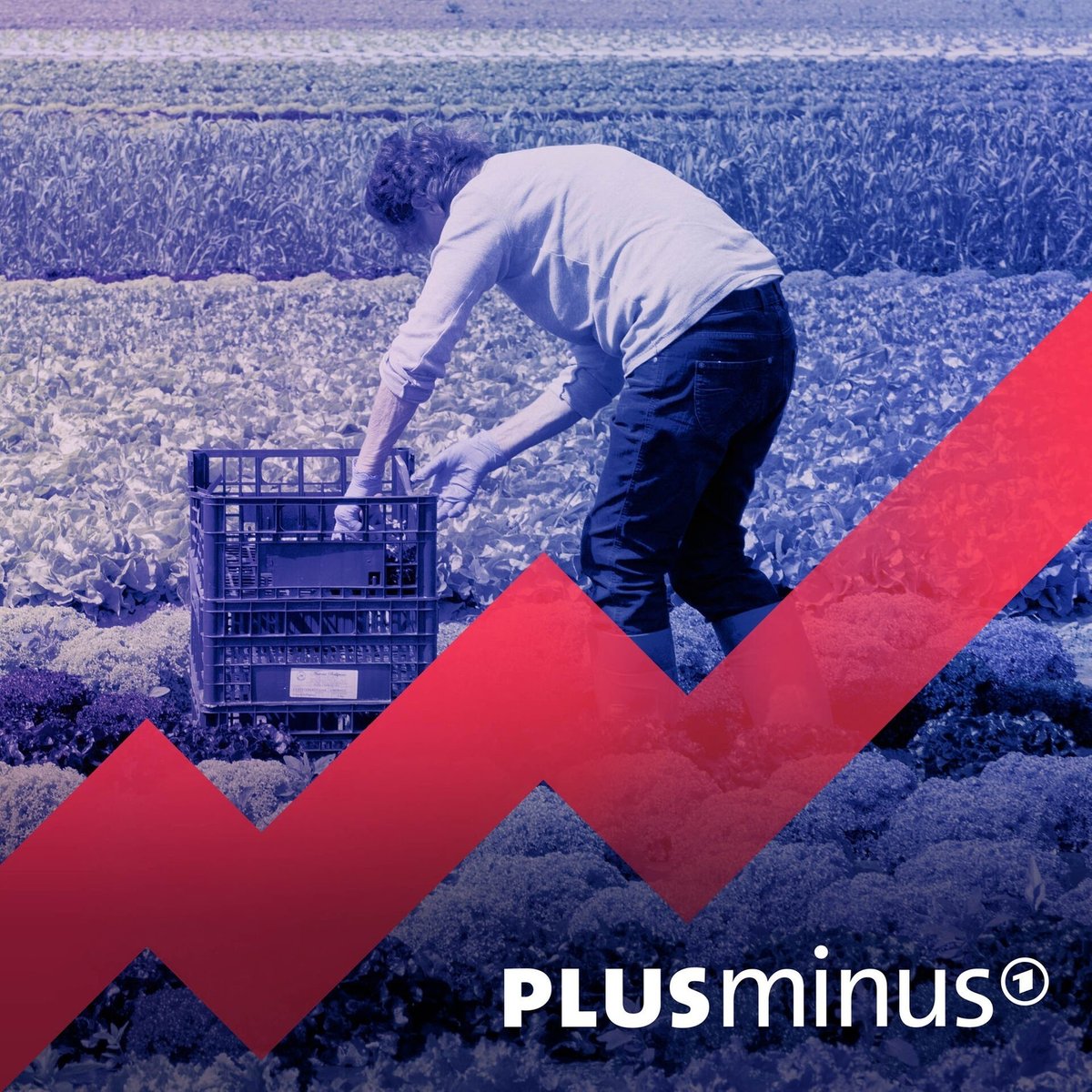 Mindestlohn - verkraftet die Wirtschaft 15 Euro?