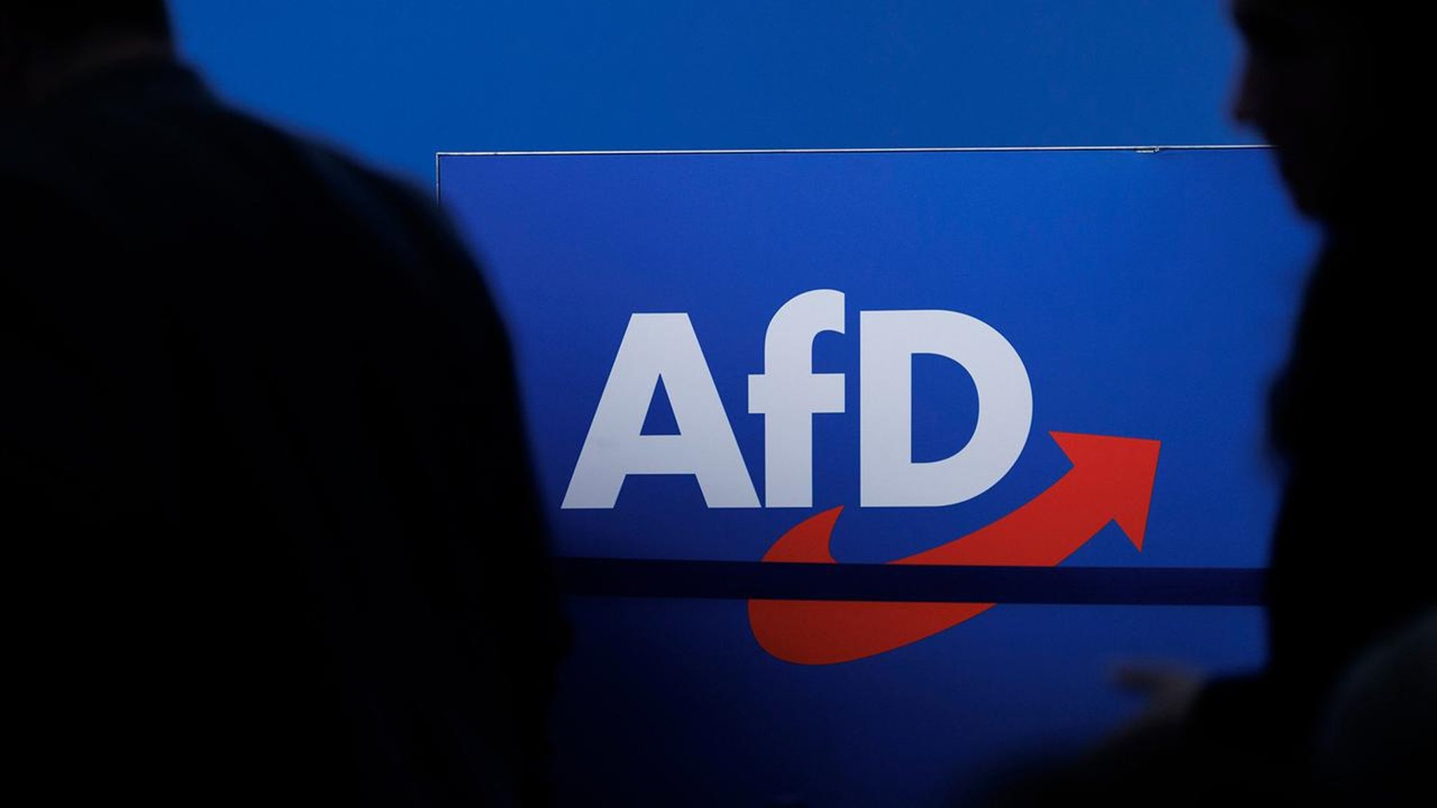 Vor der Bundestagswahl bekommt die AfD eine 1,5-Millionen-Spende