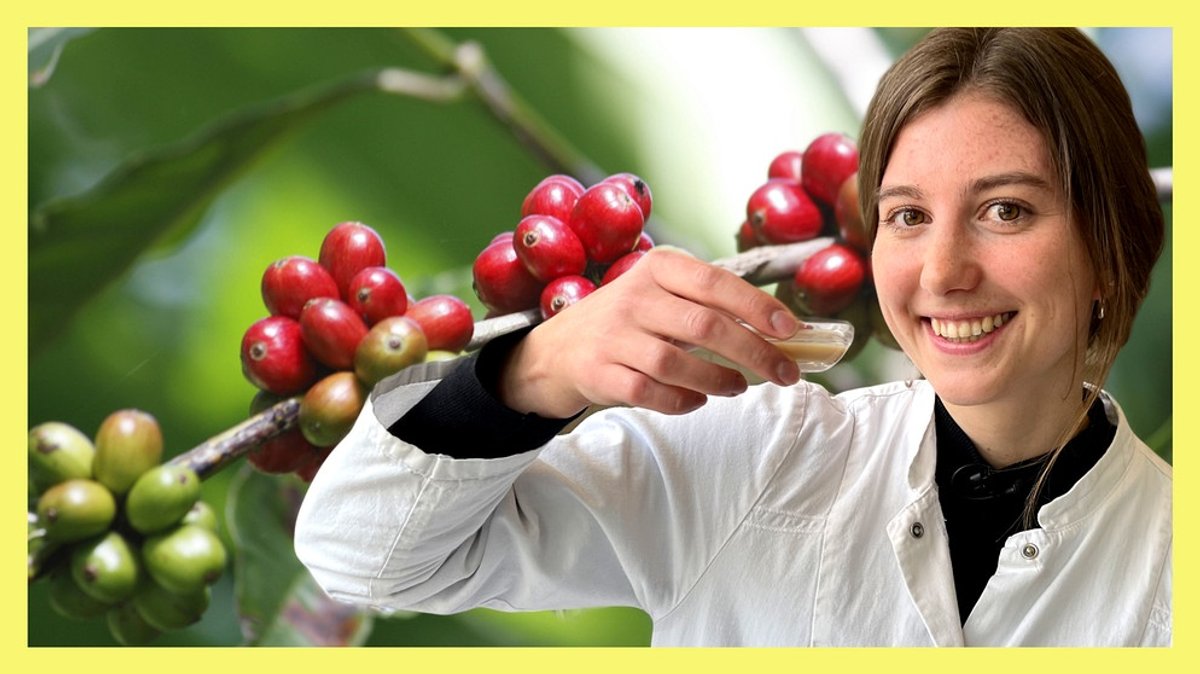 alpha Uni: Ernährungswissenschaft studieren