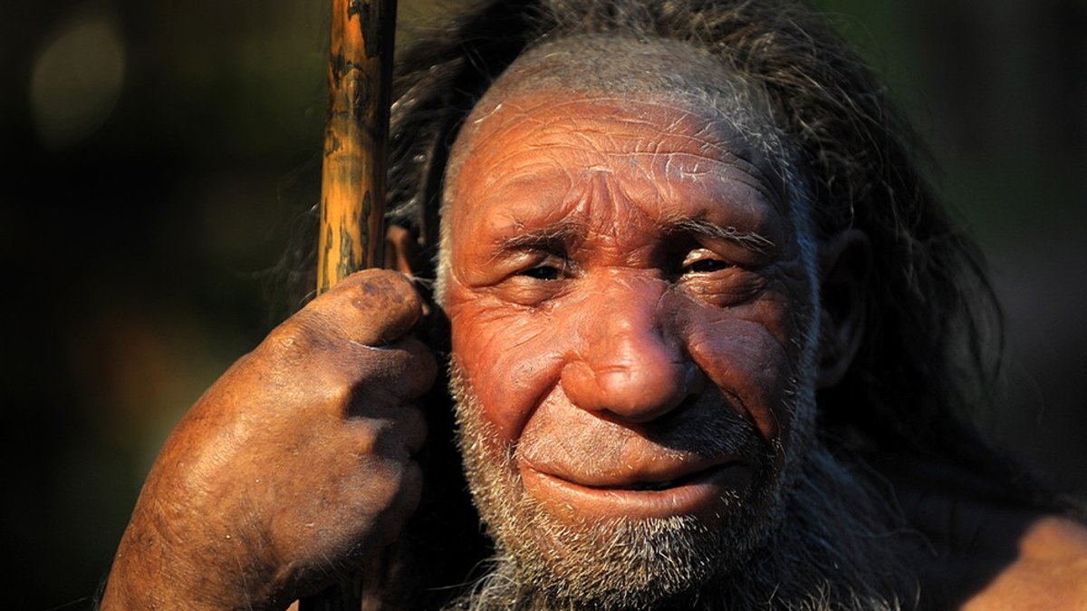 Neandertaler: Wie viele Urmenschen-Gene stecken in uns?