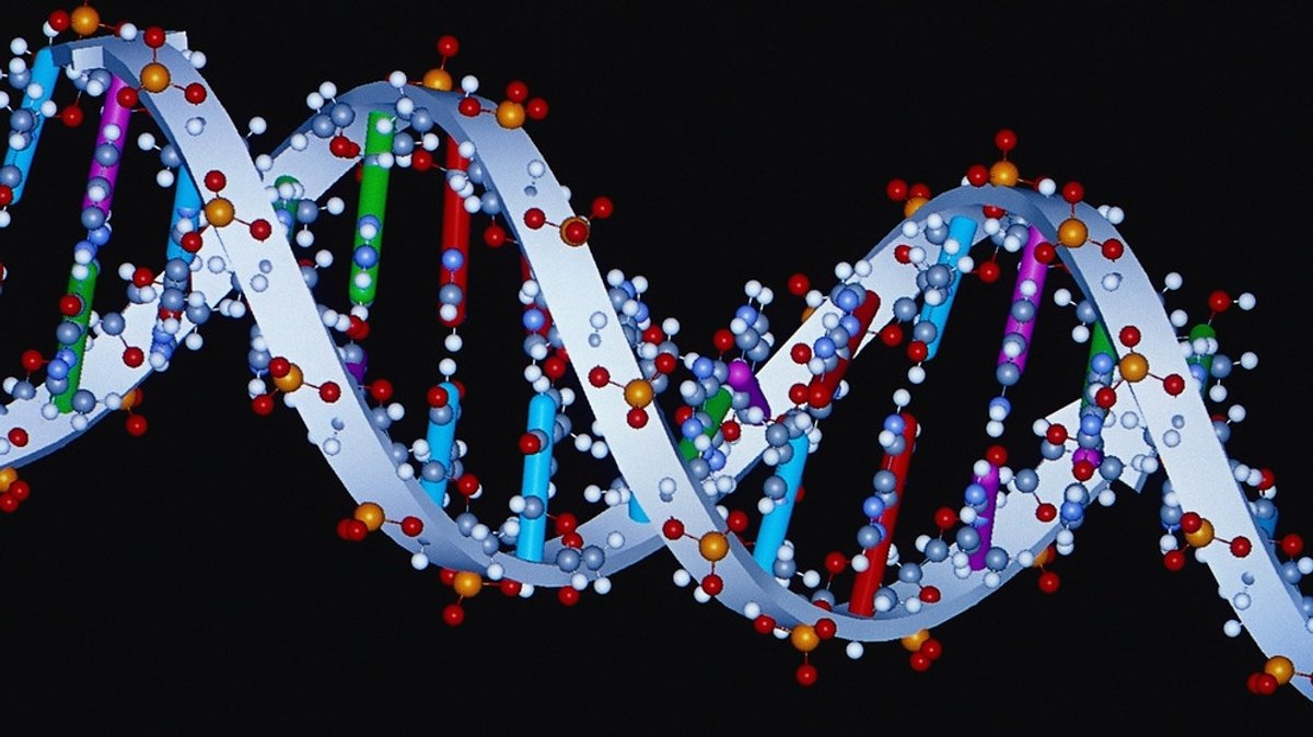 Meilensteine der Genforschung : Von der DNA zu CRISPR