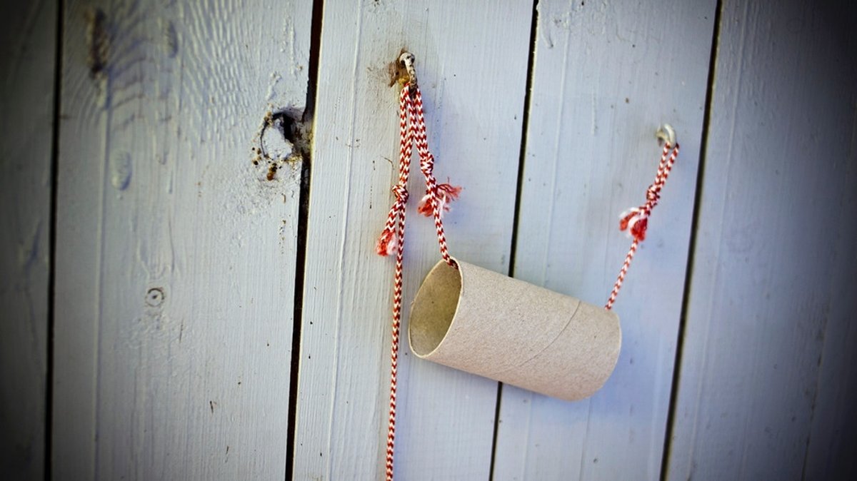 Klo und Toilettenpapier: Die Karriere des stillen Örtchens