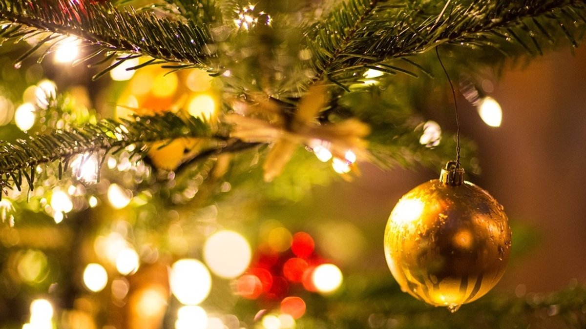 Tipps für euren Weihnachtsbaum: So bleibt der Tannenbaum im Wohnzimmer frisch