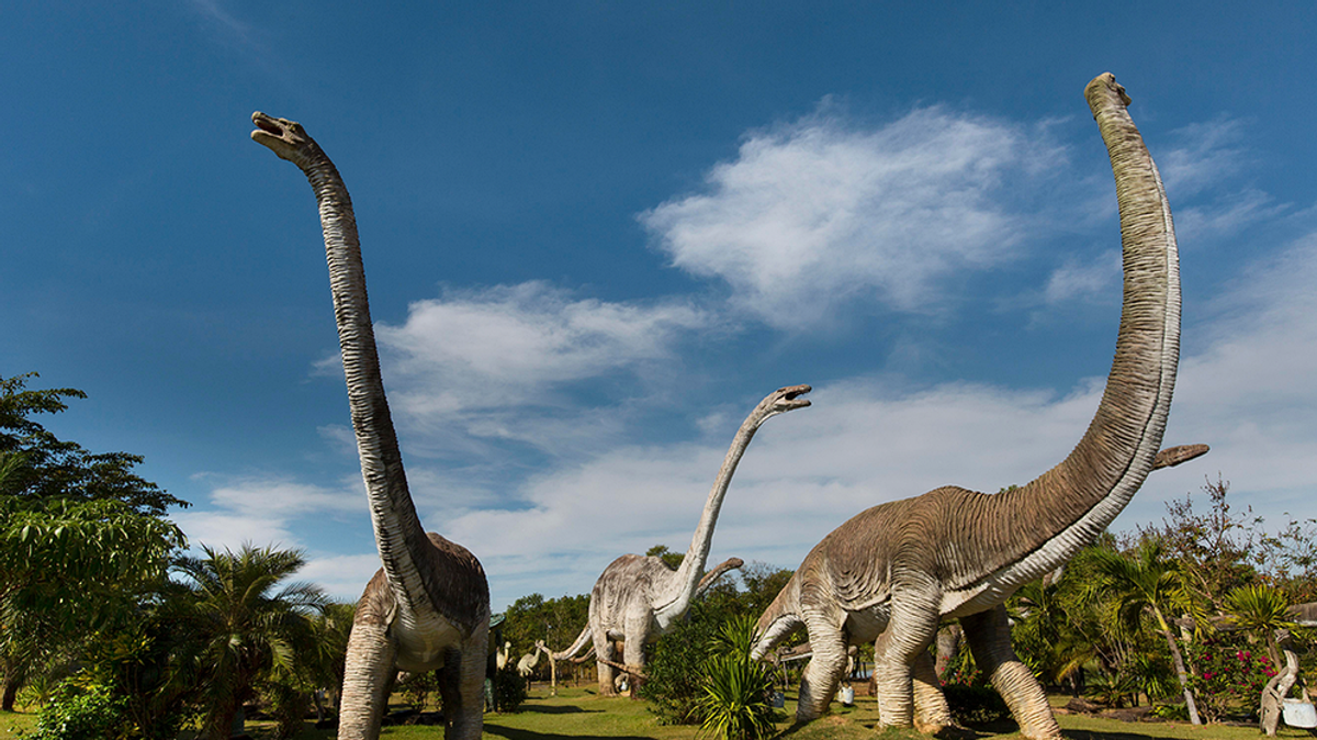 Größte Dinosaurier: Darum wurden Riesensaurier so groß