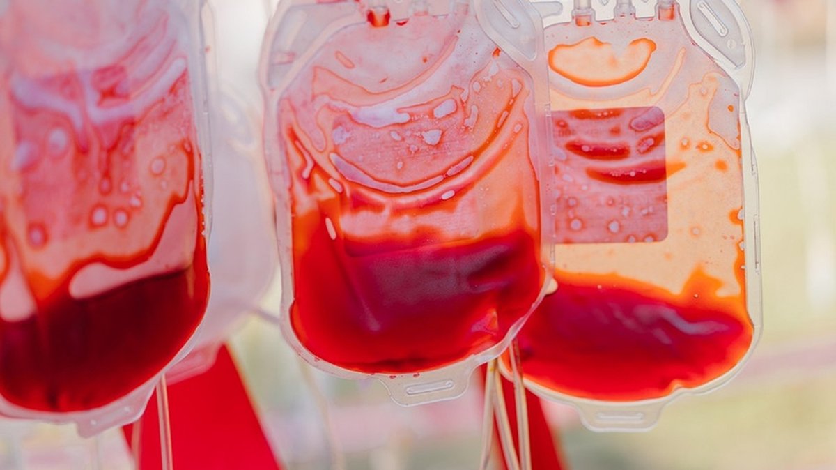 Blut und Blutspenden: Das solltet ihr über Blutkörperchen, Blutgruppen und Sepsis wissen