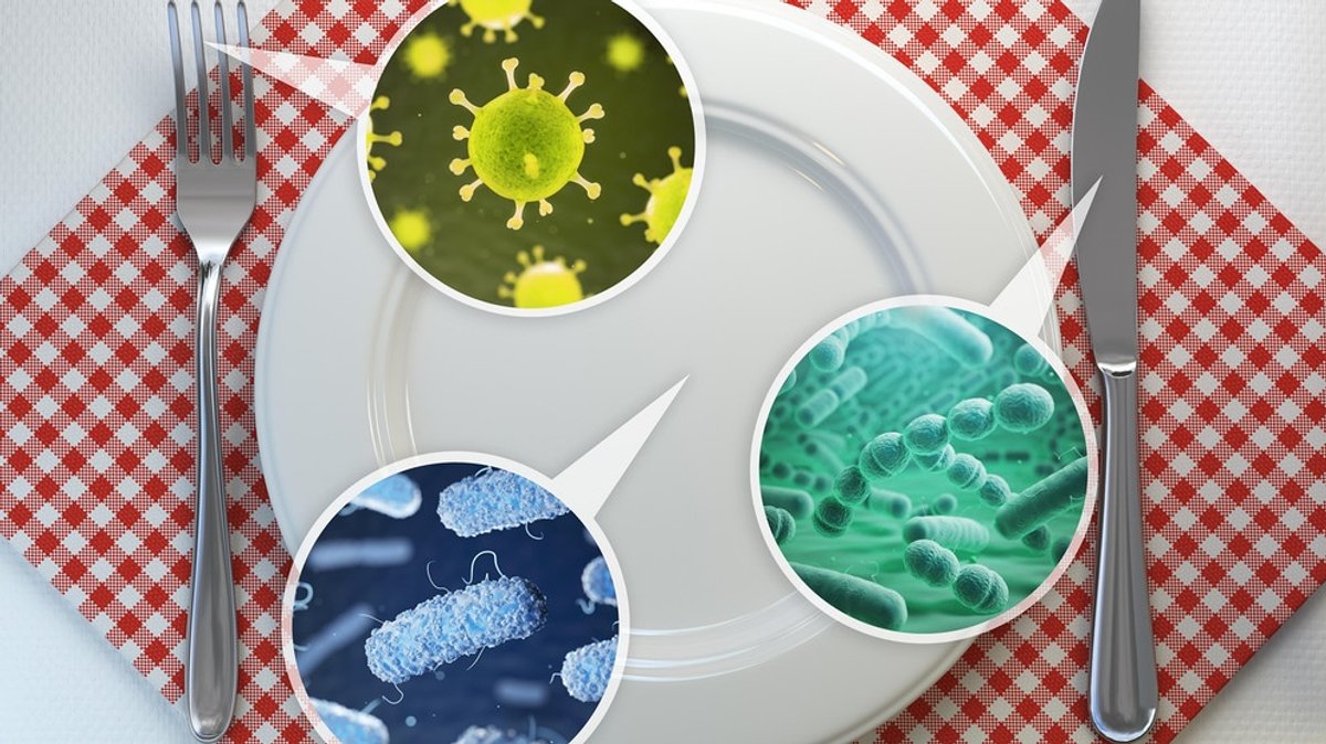 Campylobacter: Symptome, Dauer und Behandlung der Infektion